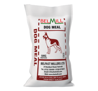 Dog Meal {{brizy_dc_image_alt imageSrc=